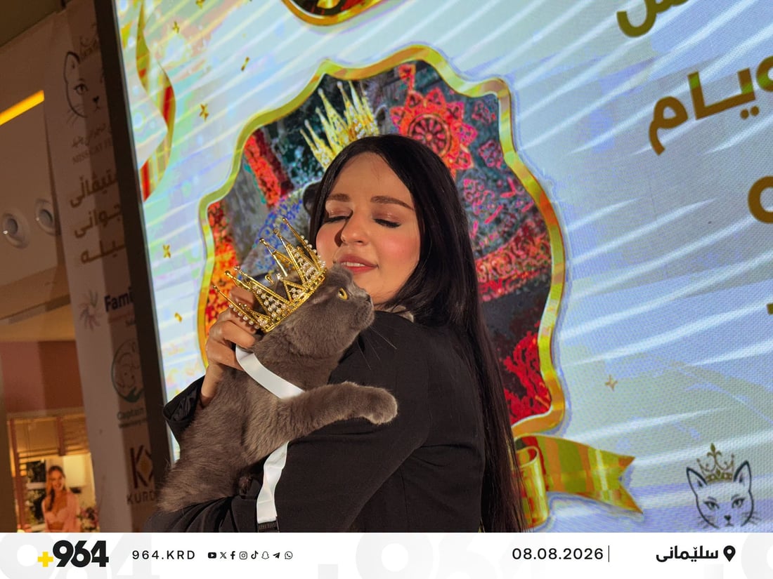 تۆماس وەک شاجوانى پشیلەکان هەڵبژێردرا و ورچە دووەم بوو