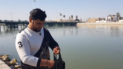 Migratory seagulls transform Musayyib bridge into a scenic haven