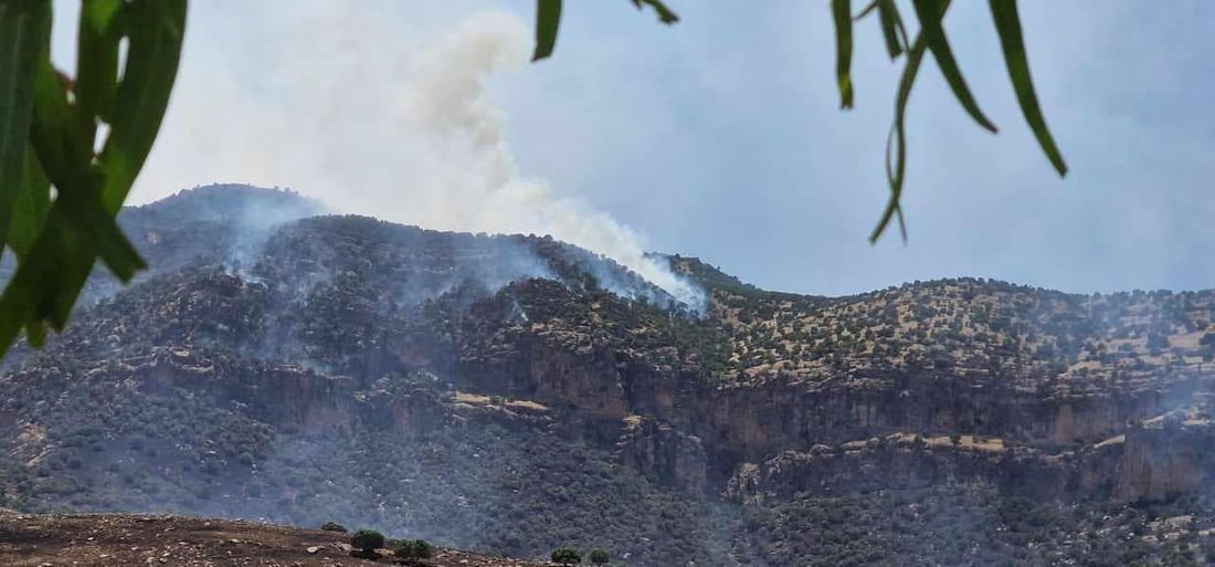 بە تۆمەتی سووتانی 60 هەزار دار هاوڵاتییەک دەستگیرکرا