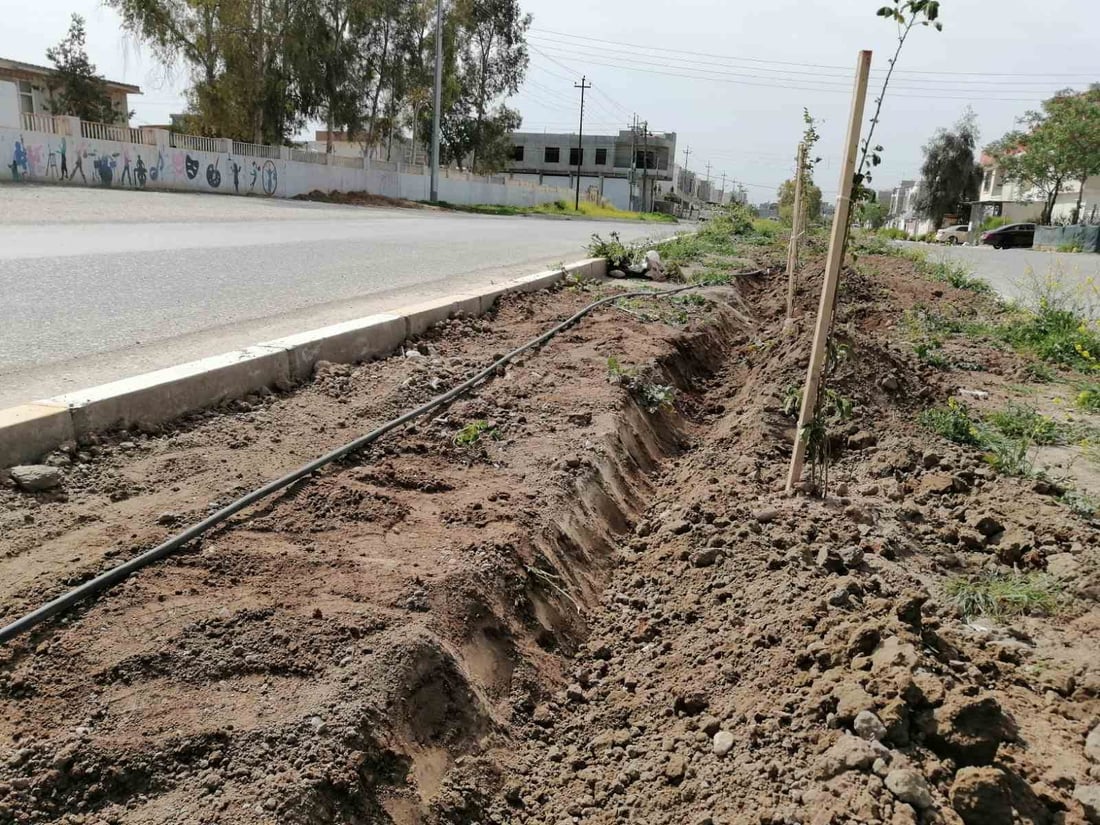 دار و گوڵەكانی جووت سایدی بنەسڵاوە سەرپەلكران