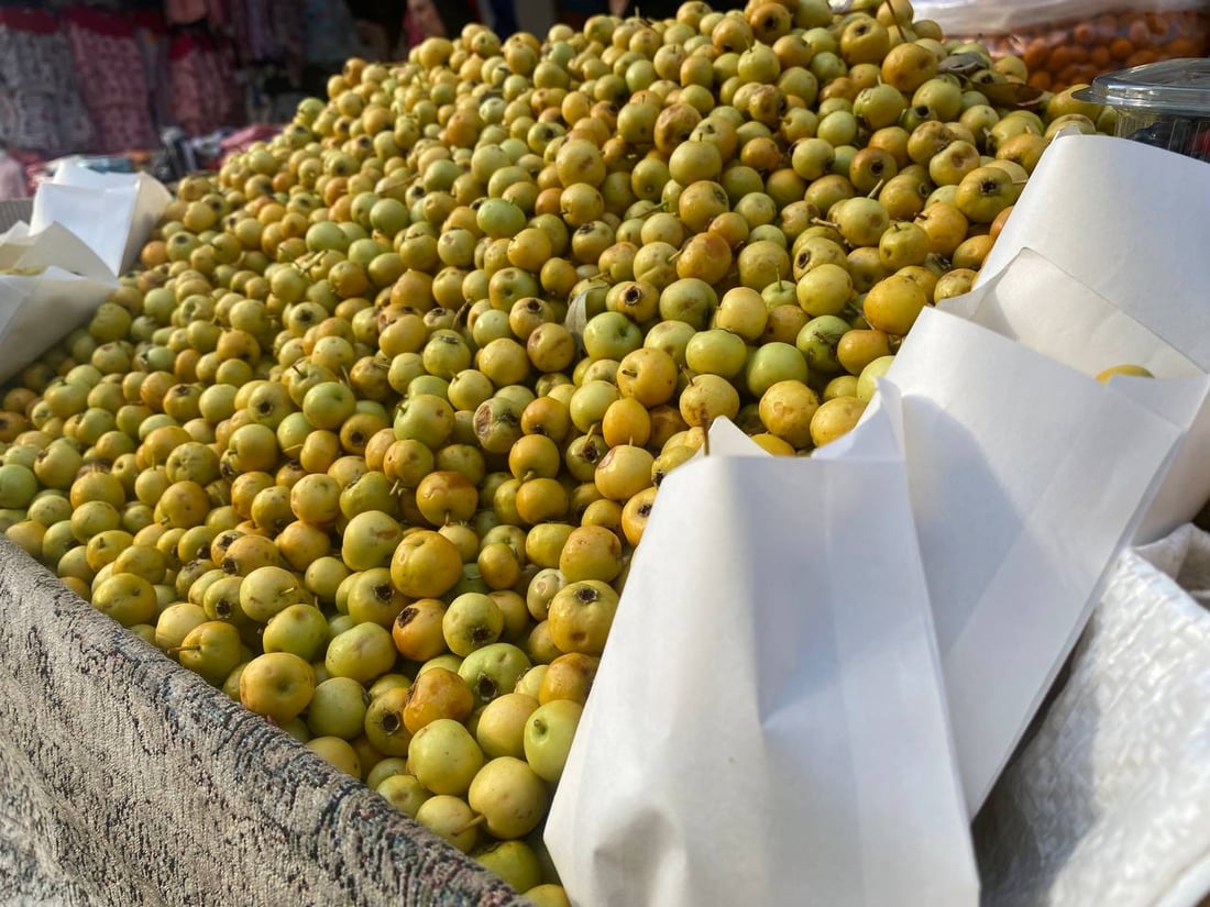 گۆیژە تام خۆشەکەی دهۆک پێگەیشتووە