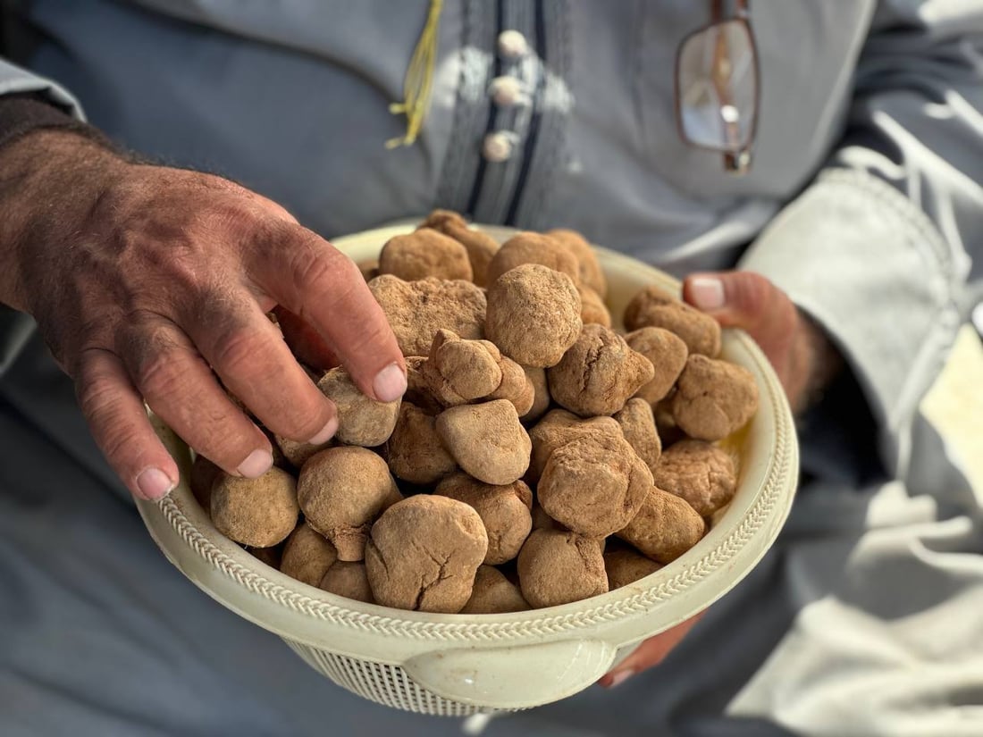 تلفون بصرة كويت لا يهدأ.. كمأ “أحرگ” بـ125 ألفاً من الأنبار حتى الزبير (صور)