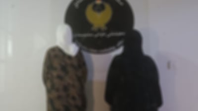 بۆ سواڵکردن چوونە ماڵەکە: کەچى دوو دەفتەر دۆلاریان لێ دزین