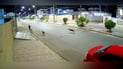 شاهد: طفل سريع جداً يردد الشهادتين ويركض.. نجا من هجوم كلاب سائبة في الرمادي
