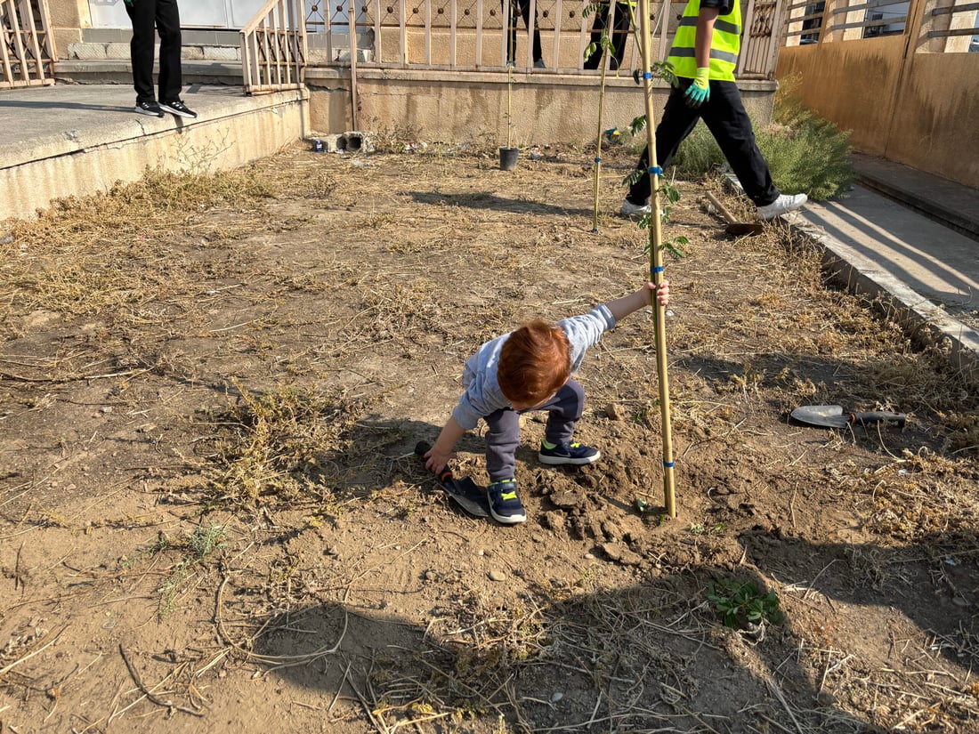‘Grow with It’: Environmental campaign brings tree to Ainkawa school