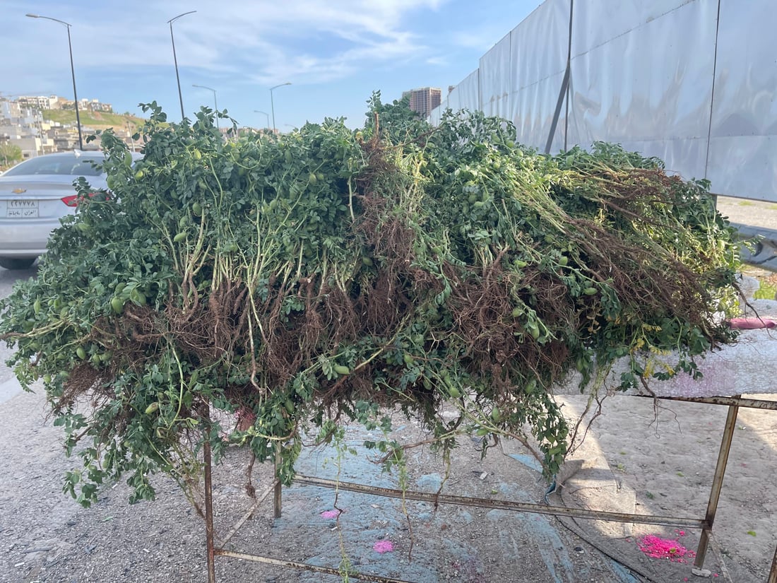 نۆبەرەی فەریکە نۆکەکەی گەرمیان لە بازاڕی سلێمانییە