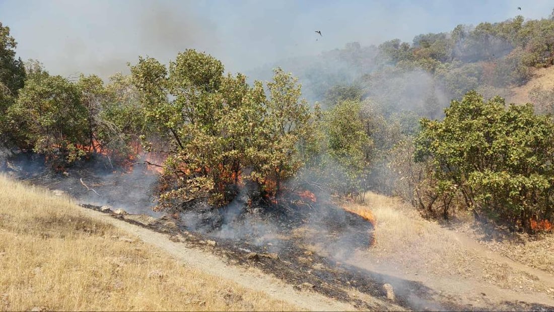 Wildfire in Penjwen brought under control after five days