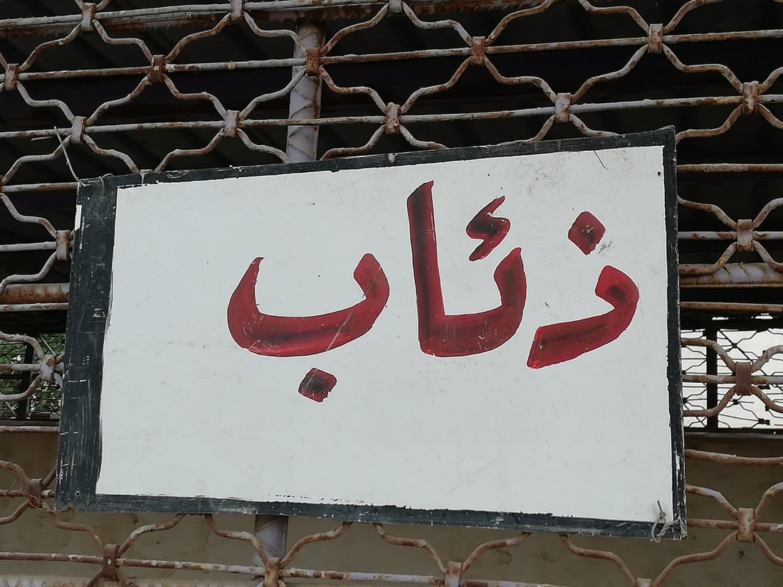 صور: “الذئاب”.. حديقة حيوانات مصغرة شرق بغداد بحاجة إلى بعض الدعم والتطوير