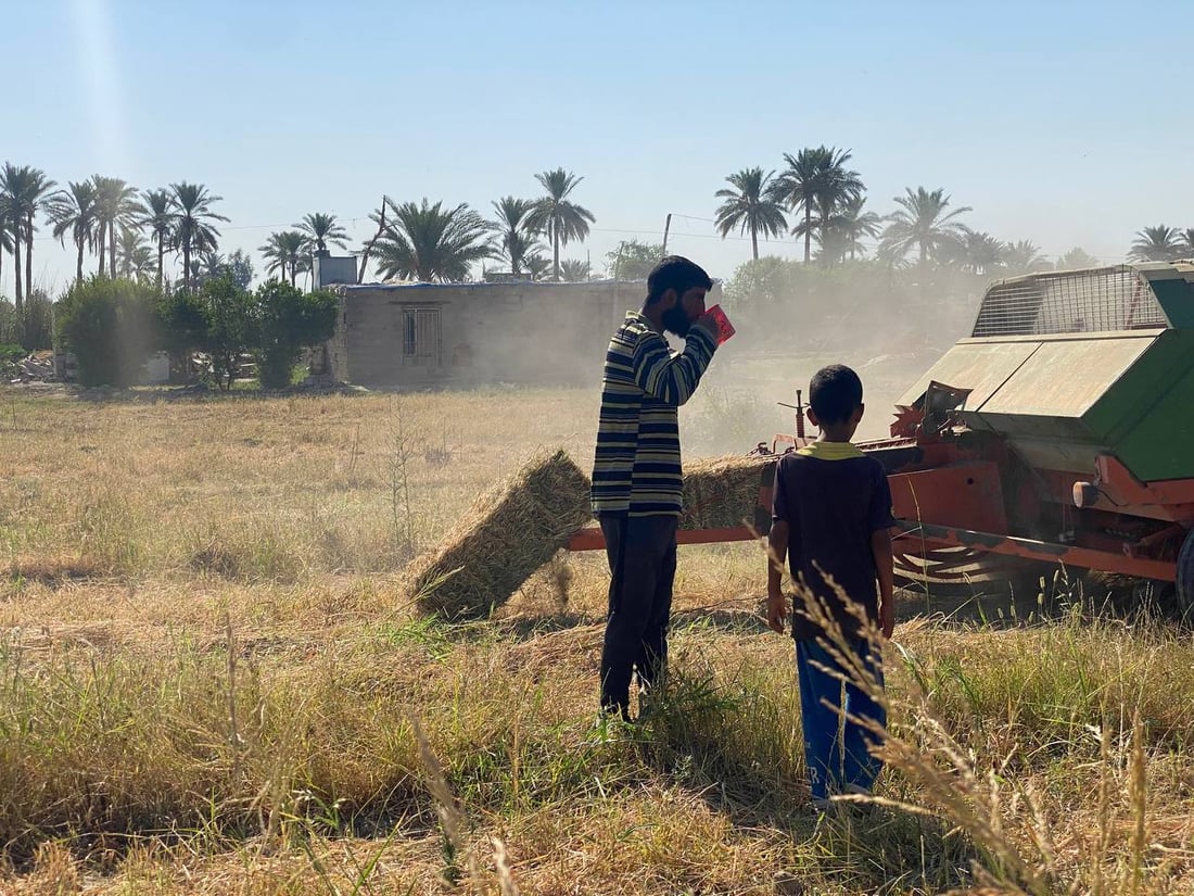 صور من مزارع أبو غريب.. اعتماد أكبر على المكائن وزيادة في البرسيم والذرة