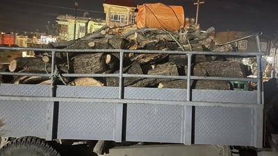 پۆلیسى دارستان و ژینگەى راپەڕین چەندین بار دار و بیورێک و 166 فەردە خەڵوز دەفرۆشێت