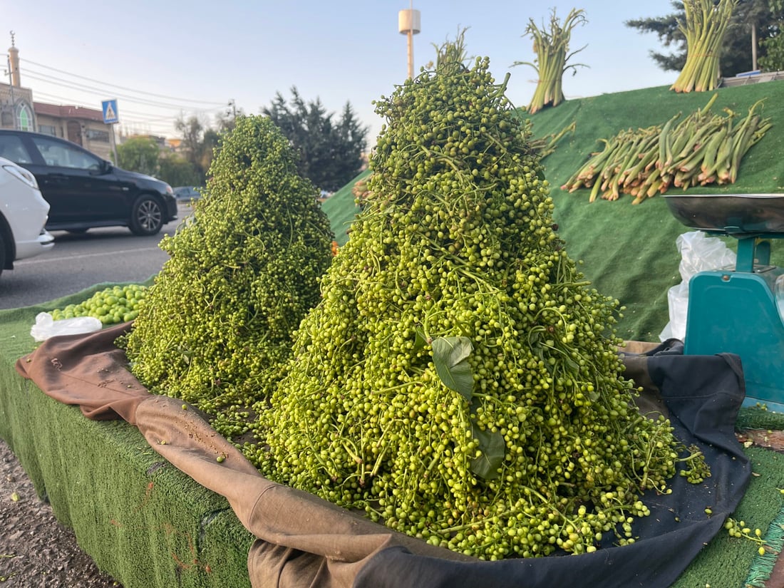 قەزوانەکەی چەمی رێزان خواستی زۆری لەسەرە