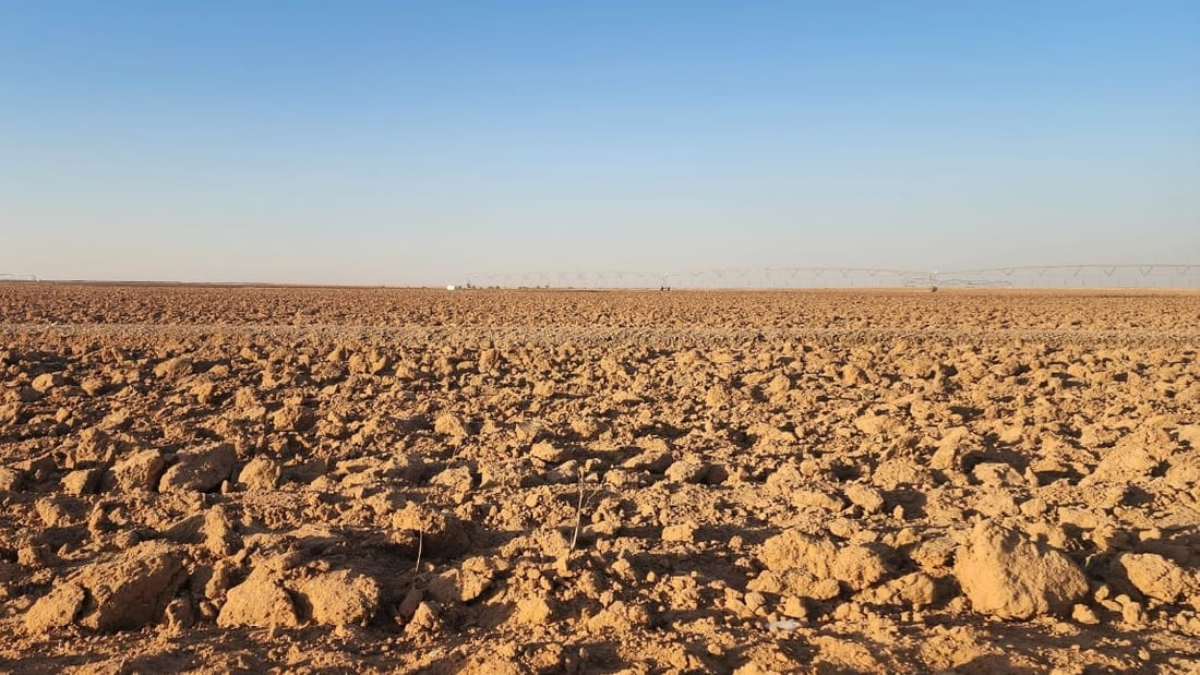 964mediaصورة من منصة (شبكة): 