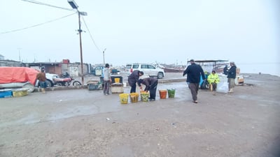 الضباب يفرّغ مزاد الفاو من أسماك البحر.. الباعة لا يشترون الإيراني لأنه بالدولار