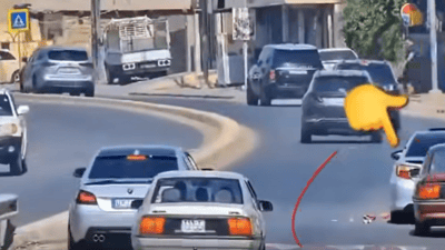 لە جامی سەیارەکەیەوە زبڵ و پاشماوەی فڕێدا سزادرا