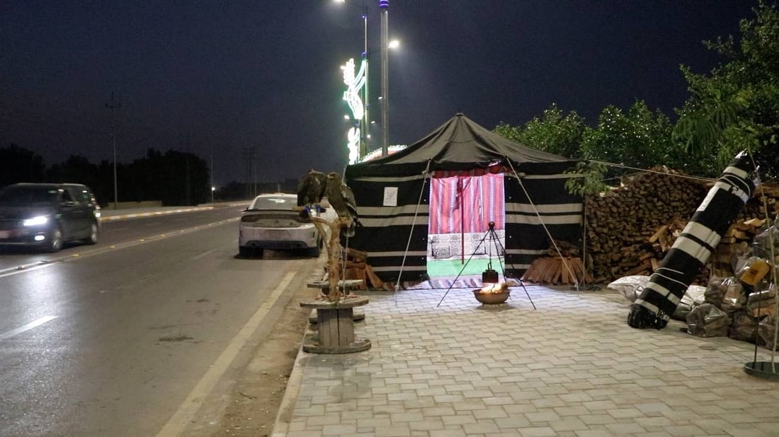 صور: صقور مهيبة وخيمة أنيقة على كورنيش الكوت وأكوام حطب جاهزة لعشاق التخييم