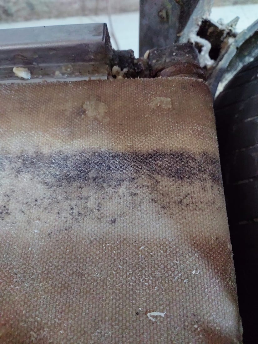 سەمونخانەیەک لە رانیە داخرا و خاوەنەکەشی لێپێچینەوەی لەگەڵدا دەکرێت