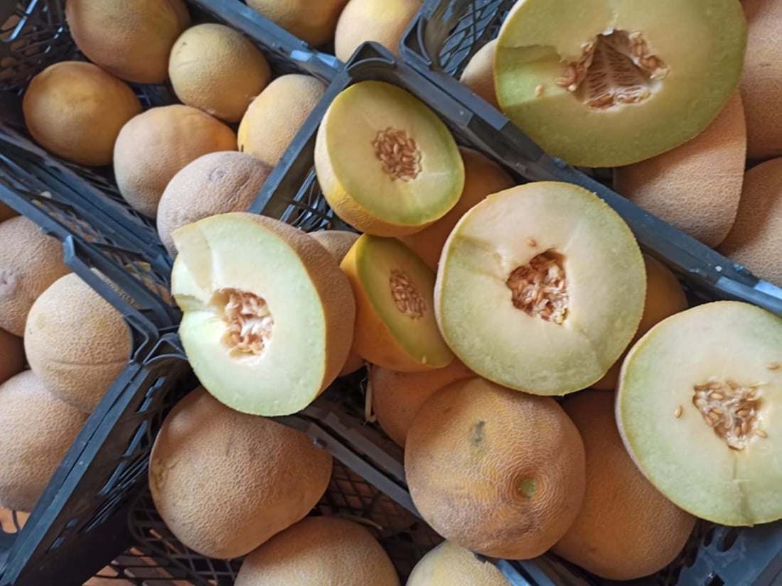 رێگریکرا لە گواستنەوەی چوار تۆن کاڵەکی خراپبوو بۆ بازاڕەکانی هەرێم