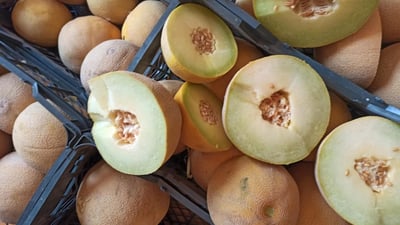 رێگریکرا لە گواستنەوەی چوار تۆن کاڵەکی خراپبوو بۆ بازاڕەکانی هەرێم