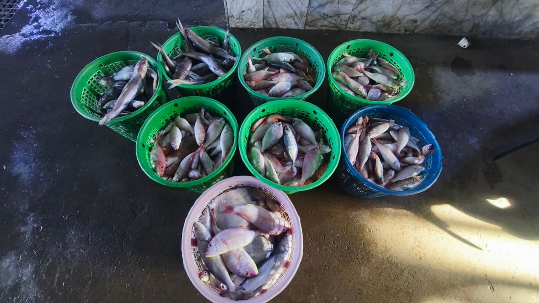 البرد يدفن الأسماك في قاع البحر.. صيادو الفاو يترقبون الدفء