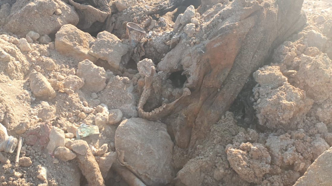 صور: العثور على مقبرة جماعية في تلعفر.. هياكل عظمية لرجال وأطفال