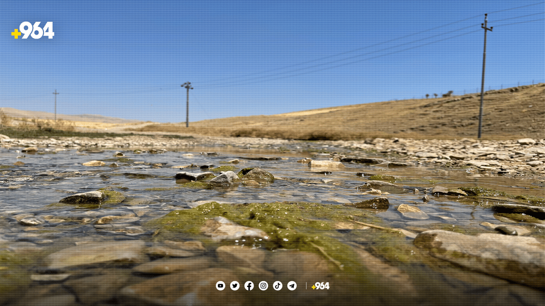 “بۆچوونمان بۆ دروستکردنی کارگەی ئاسنی یەخی ماڵی وەرنەگیراوە”