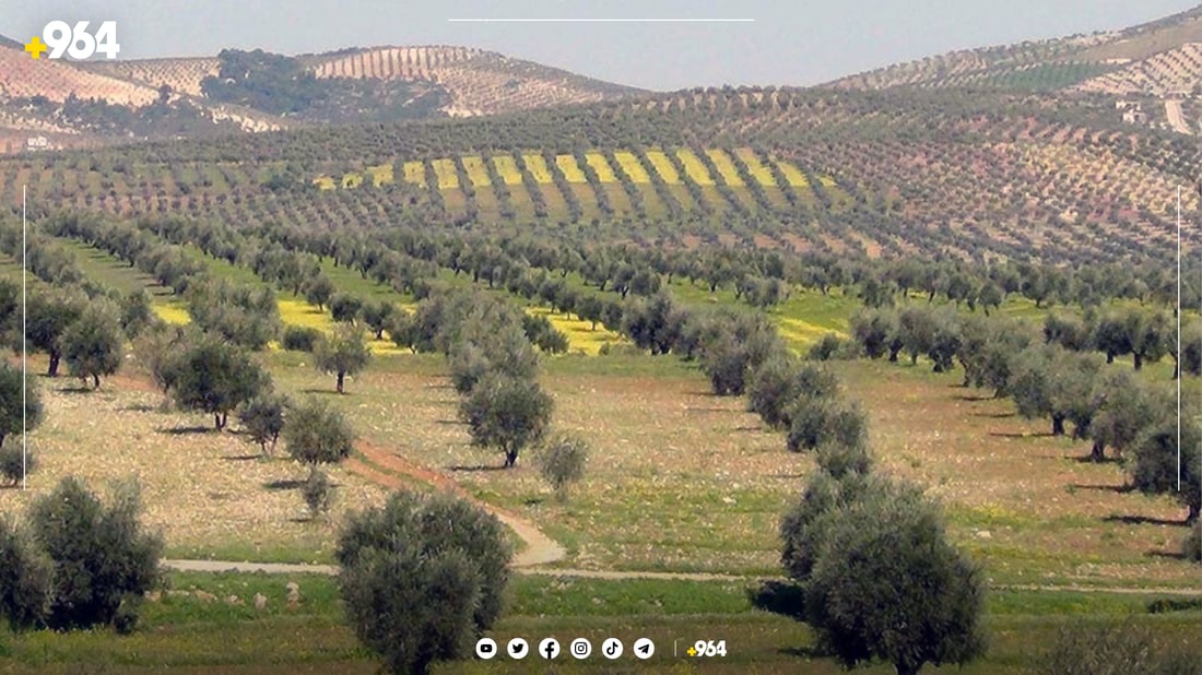 گه‌وره‌ترین پڕۆژه‌ی كشتوكاڵی راده‌ستی زانكۆی سه‌لاحه‌دین كرا