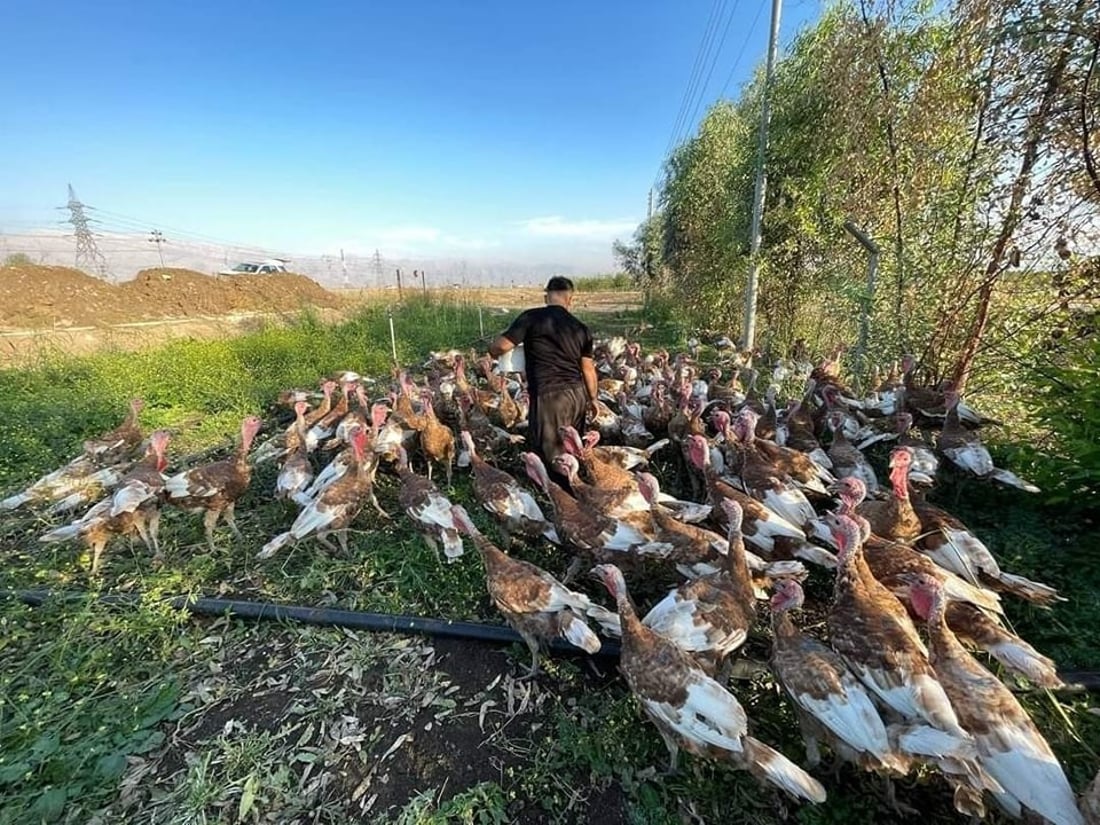 گه‌نجێكی سه‌یدسادق ده‌یه‌وێت “قه‌لى سوور” بكاته‌ پڕۆژه‌یه‌كی گه‌وره‌