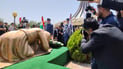 سەرۆک كۆمار دۆكیۆمێنتی بەپارێزگابوونی هەڵەبجەی هێنایەوە شارەكە