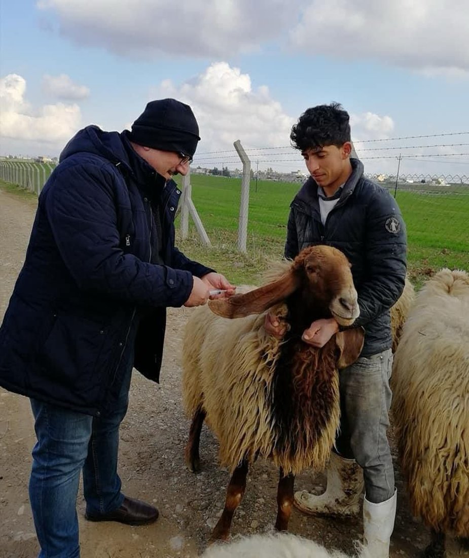 ره‌سه‌نایه‌تیى مریشك و ئاژه‌ڵى كوردستان ده‌گۆڕدرێت