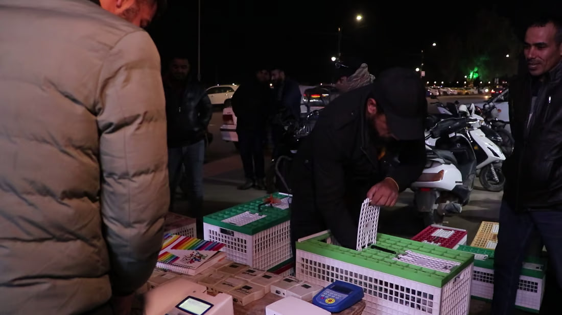 Annual racing competition for homing pigeons kicks off in Kut