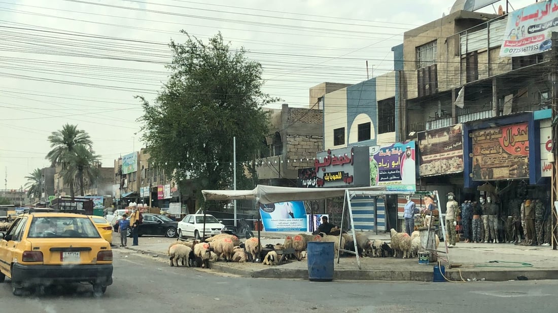 بغداد: سايبا تجر حصاناً مع صور “غريبة” كثيرة.. ماذا يحدث في شرق القناة؟