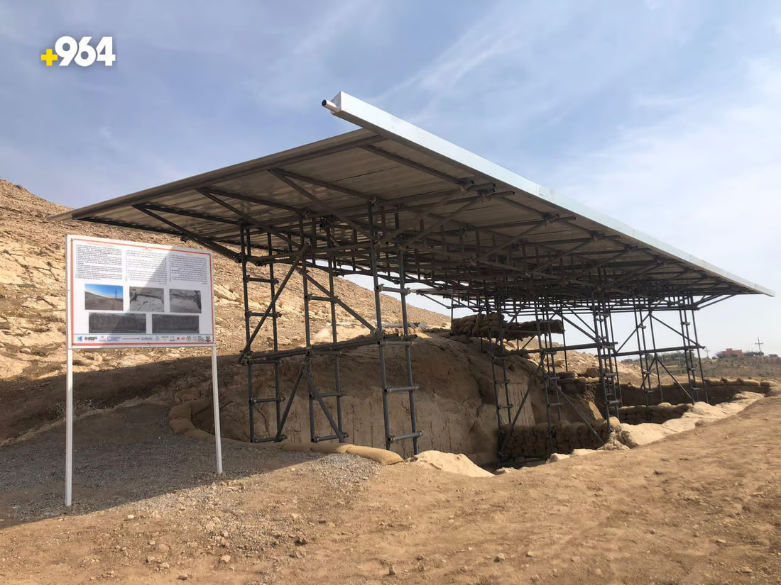 964mediaصورة من منصة (شبكة): 