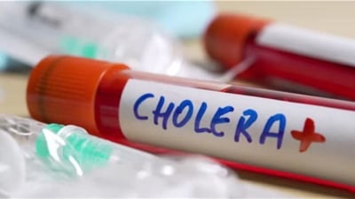 دوای زیاتر لە 100 ساڵ كۆلێرا گەڕایەوە ئەوروپا