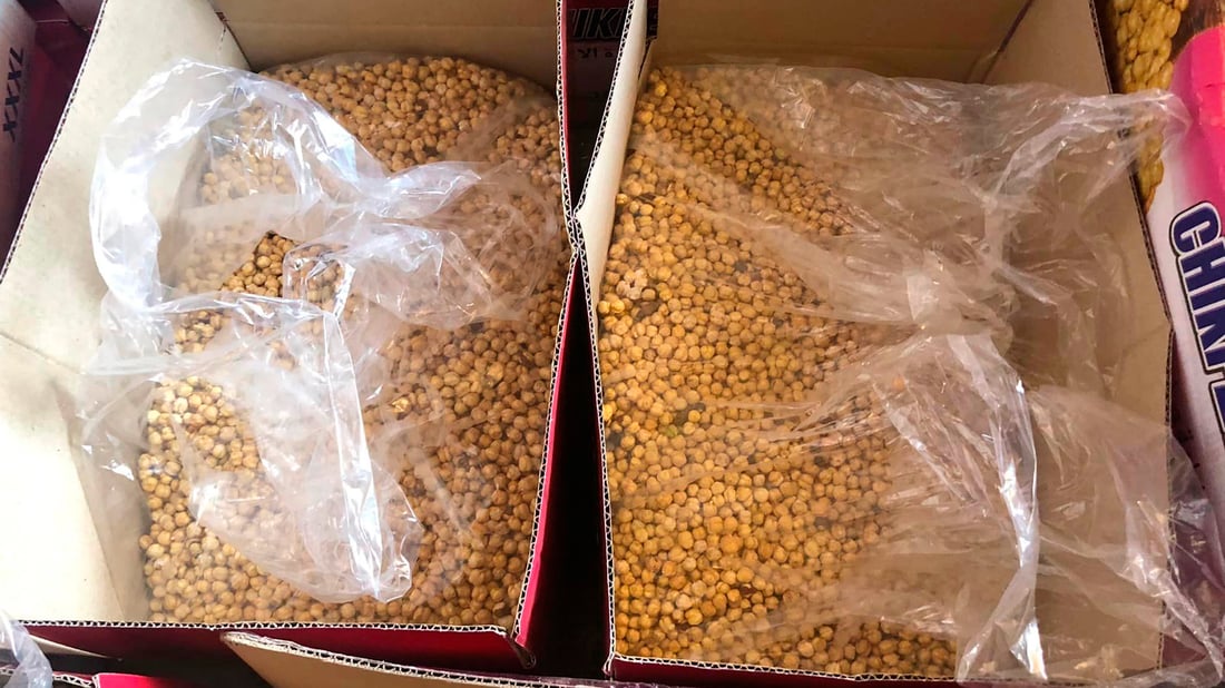 دەیویست نۆکی بەسەرچوو ساغبکاتەوە