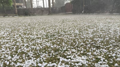 أمطار وحالوب في ريف كربلاء.. بساتين الصلامية توشحت باللون الأبيض (فيديو)