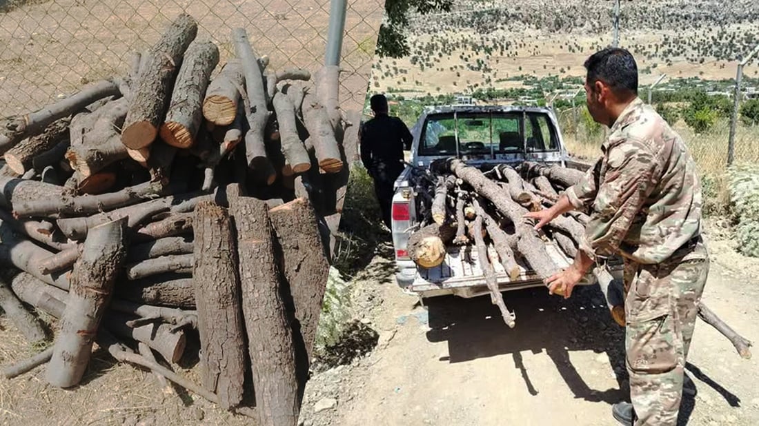 لە گەڕەکێکی مێرگەپانی سلێمانی داربڕێک دەستگیرکرا