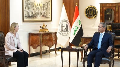 زيدان يبحث مكافحة الجريمة المنظمة والجرائم العابرة للحدود مع وفد سويدي