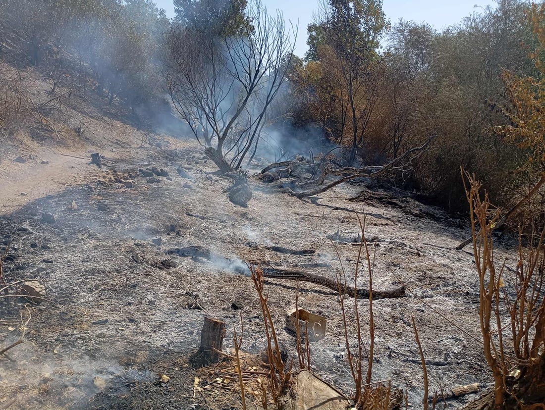 ئاگر بەرۆکی شارباژێر بەرنادات و نزیکەی 1400 دۆنم زەوی سووتاند