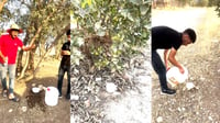 لە کانى وەتمان؛ گەنجان بوونەتە کانى بۆ باڵندە و گیانەو...