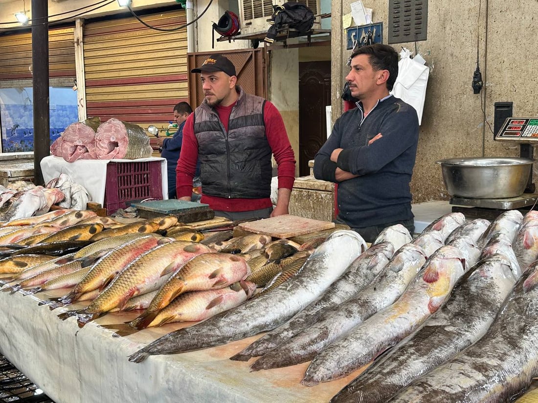 صور: أسماك داقوق والعمارة تخفض الأسعار في ميدان الموصل.. السمتي بـ7 آلاف
