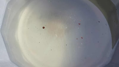 شارەزوور کەمئاوە و ئاوەکەشی سەوزە و قەوزەی تێدایە