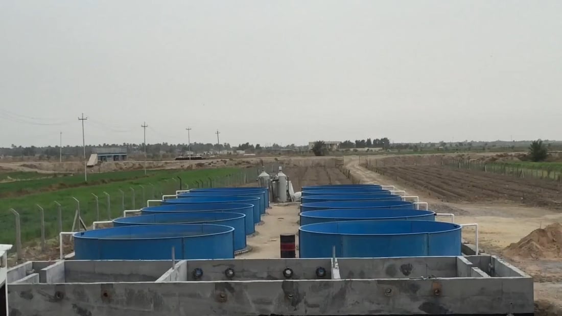 بابل تقترح على مربي الأسماك 3 طرق قبل إلغاء الإجازة.. تقنيات حديثة لتدوير المياه
