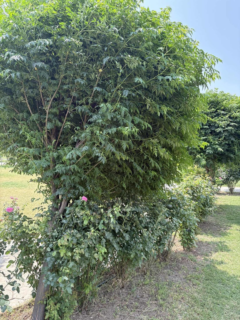 دوو شه‌و بوو‌ ره‌شه‌با وازى له‌ قه‌زاى هه‌ریر نەدە‌هێنا‌