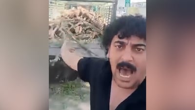 باعوها بـ 400 ألف دينار.. مواطن يصرخ غاضباً بعد قطع شجرة في مدرسة بخانقين