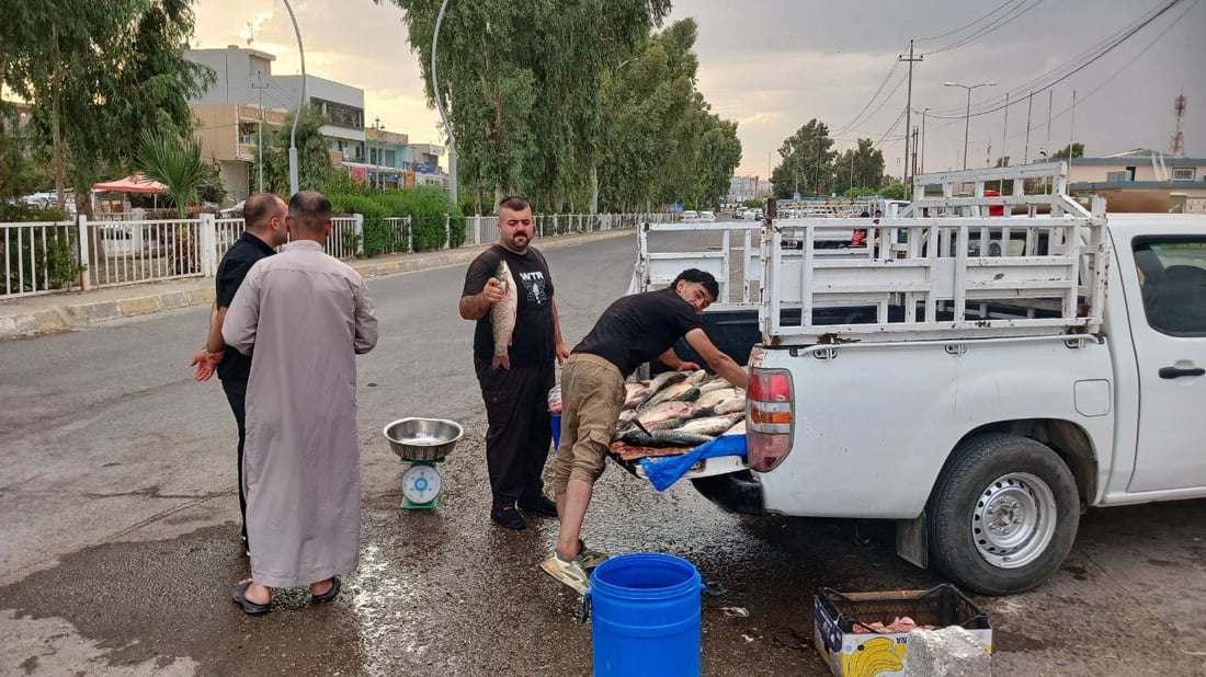 عاد السمك إلى آلتون كوبري والكيلو 5 آلاف.. شباك “قية باشي” وسط الزاب