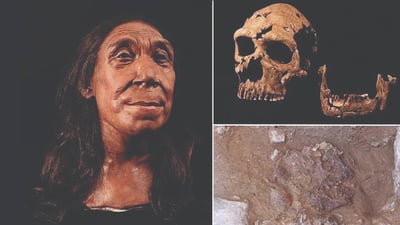 Neanderthal woman’s face reconstructed from 75,000-year-old skull