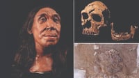 Neanderthal woman's face reconstructed from 75,000-year-old skull