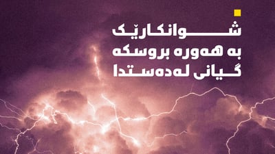 شوانکارێک بە هەورەبروسکە گیانی لەدەستدا