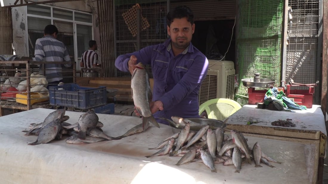 لا يدخل علوة الحلة ويباع بالاتفاق.. حرش البزل بـ 12 ألف دينار بسبب الجفاف (صور)