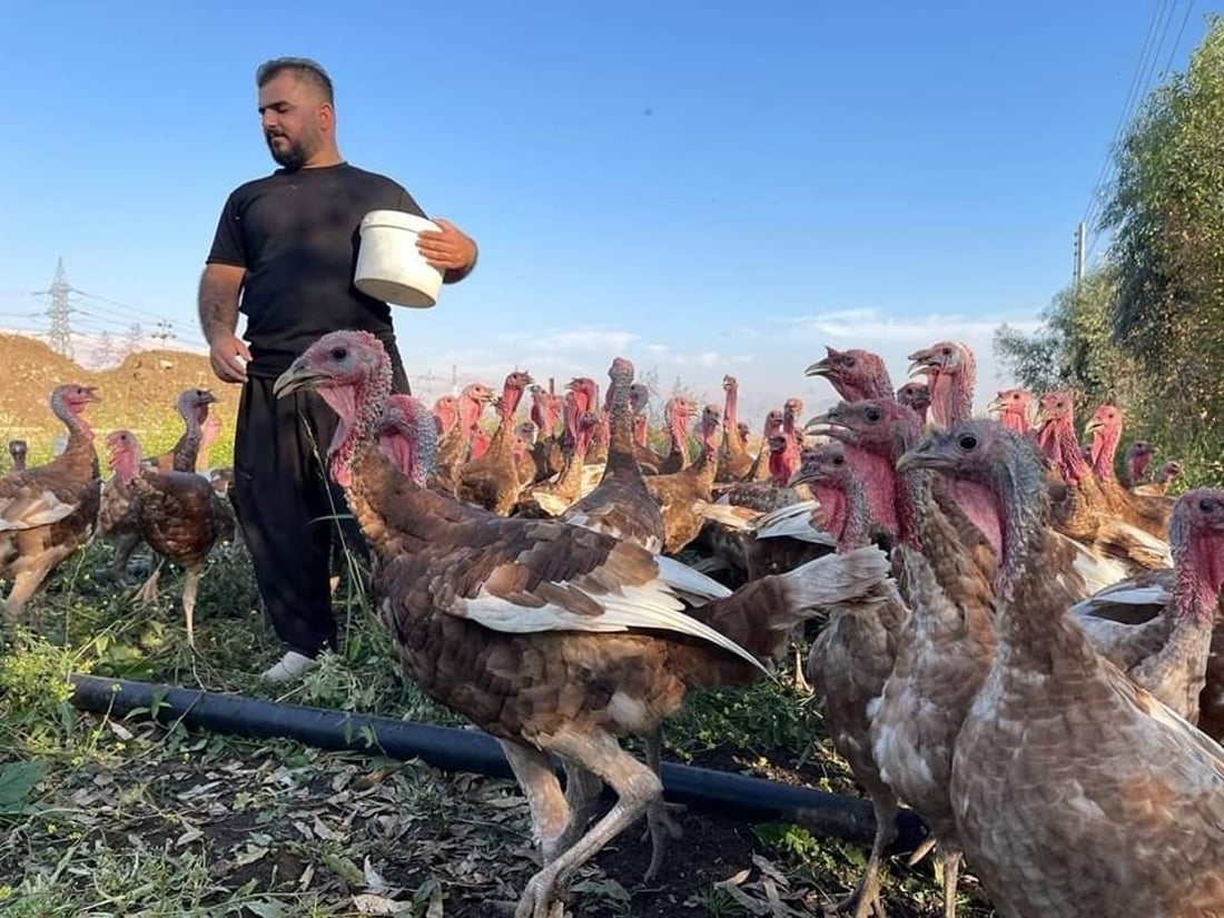 گه‌نجێكی سه‌یدسادق ده‌یه‌وێت “قه‌لى سوور” بكاته‌ پڕۆژه‌یه‌كی گه‌وره‌